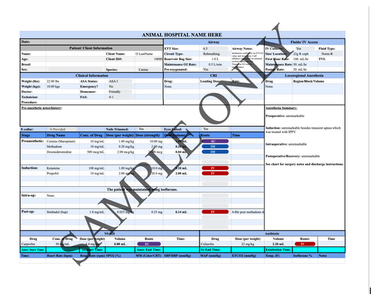 Smart Anesthesia Monitoring Record