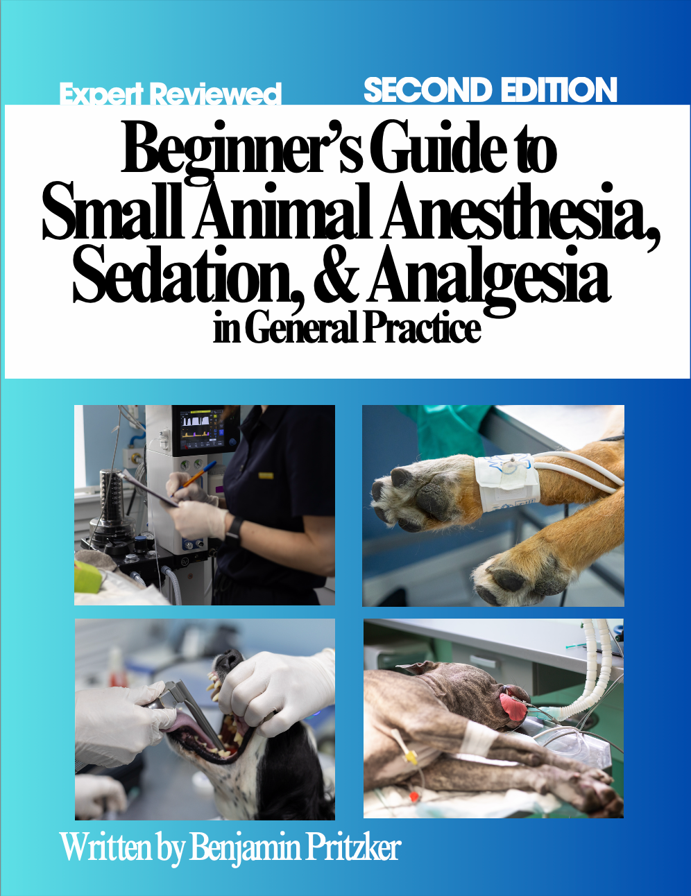 Beginner's Guide to Small Animal Anesthesia, Sedation, and Analgesia in General Practice (Physical Book)